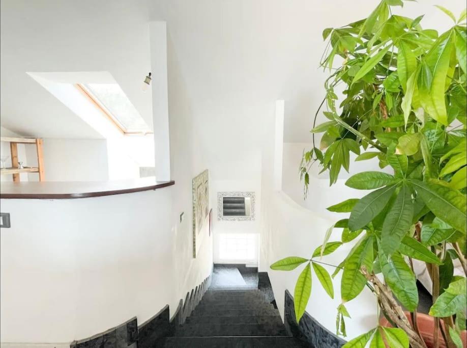 Appartement Mansarda Vista Mare A Zinola à Savone Extérieur photo