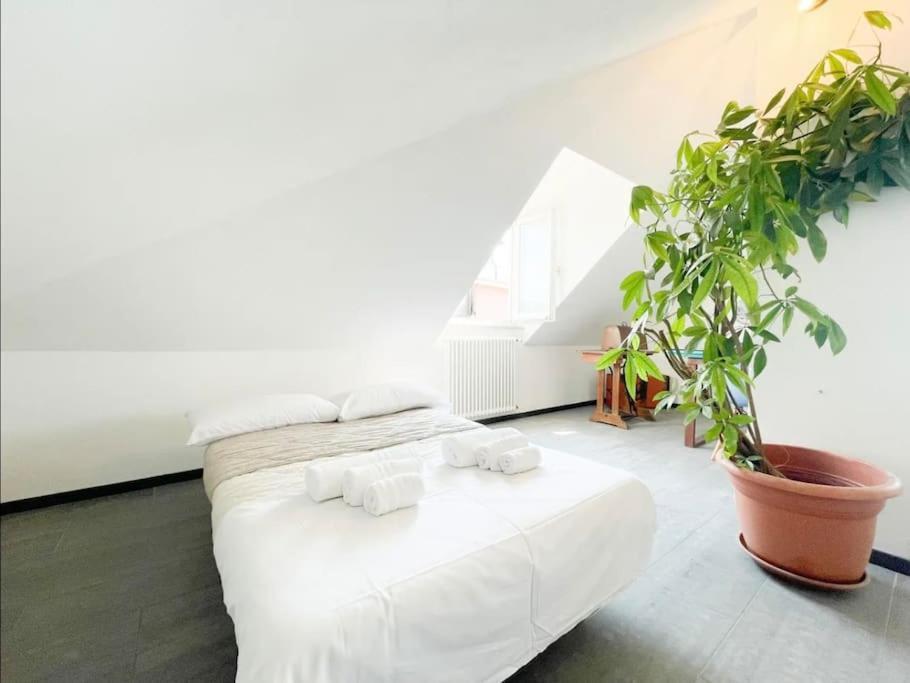 Appartement Mansarda Vista Mare A Zinola à Savone Extérieur photo